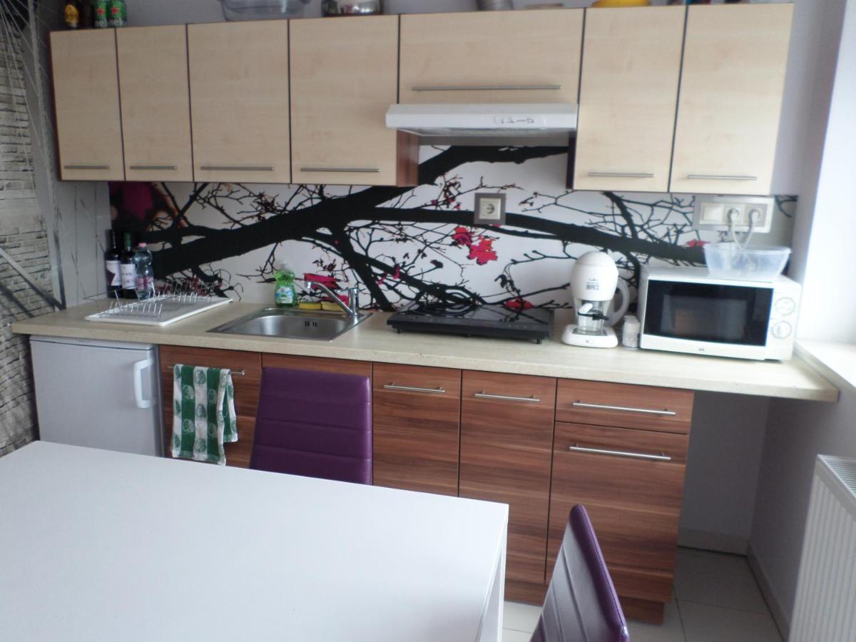 דירות Sárvár Cecilia Apartman מראה חיצוני תמונה